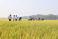 Đắk Lắk quy định mức nộp tiền khi chuyển đất chuyên trồng lúa sang mục đích phi nông nghiệp